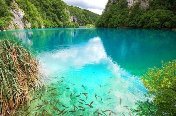 Картинки для отдыха глаз