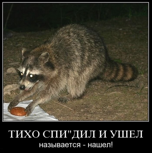 Картинки в черной рамке