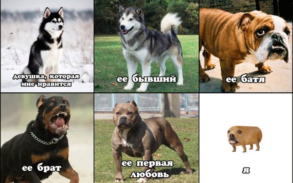 Приколы в стиле "регресс"