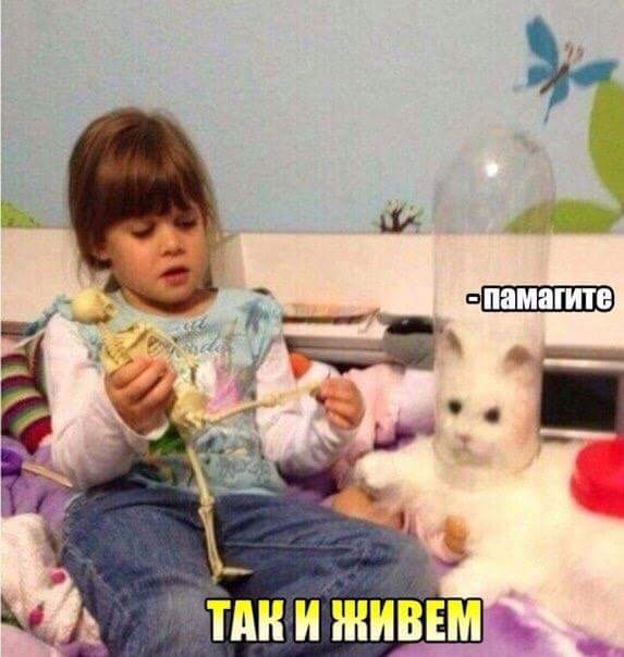 Порция "позитивных" картинок