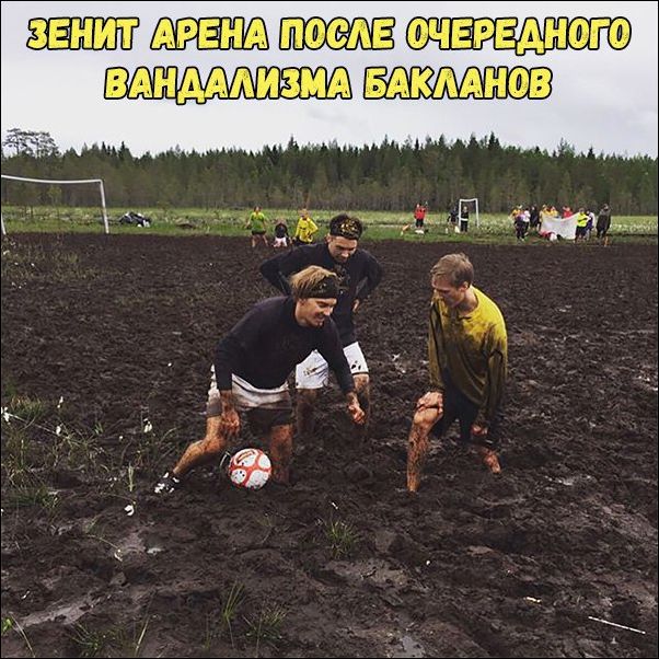 150 картинки для поднятия настроения!