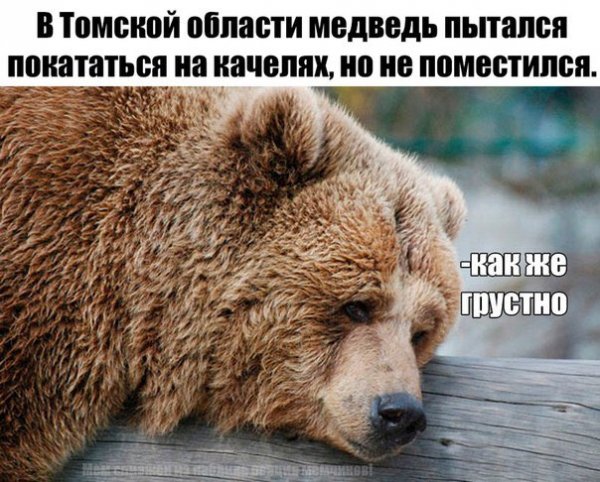 Приколы в стиле "регресс"