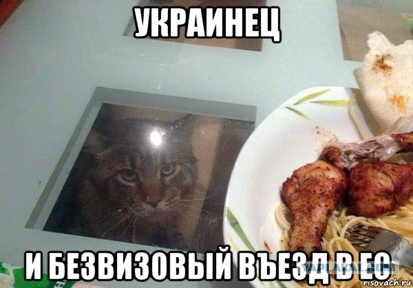 Мнение граждан Донецка о безвизе