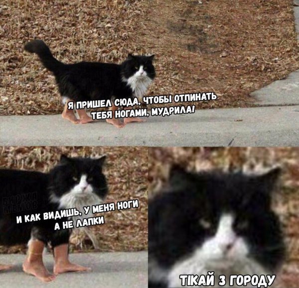 Приколы в стиле "регресс"