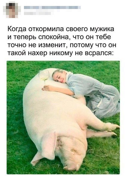 Чудики из социальных сетей