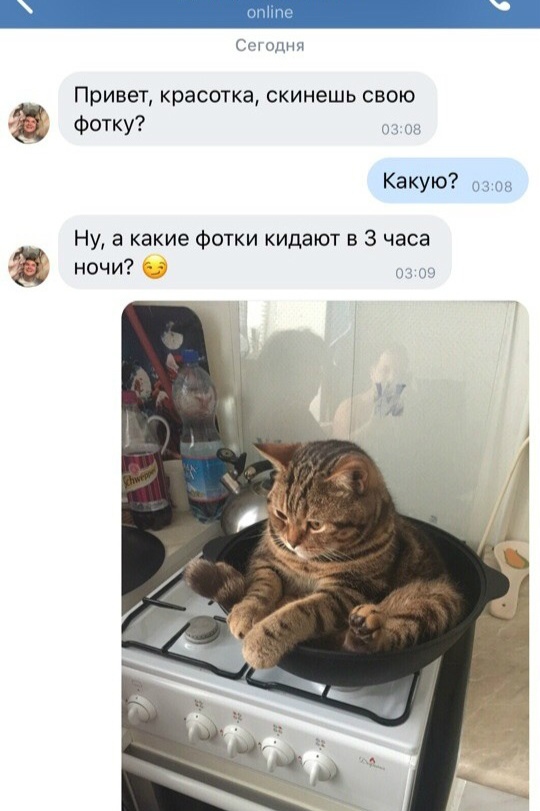 Нестандартный юмор