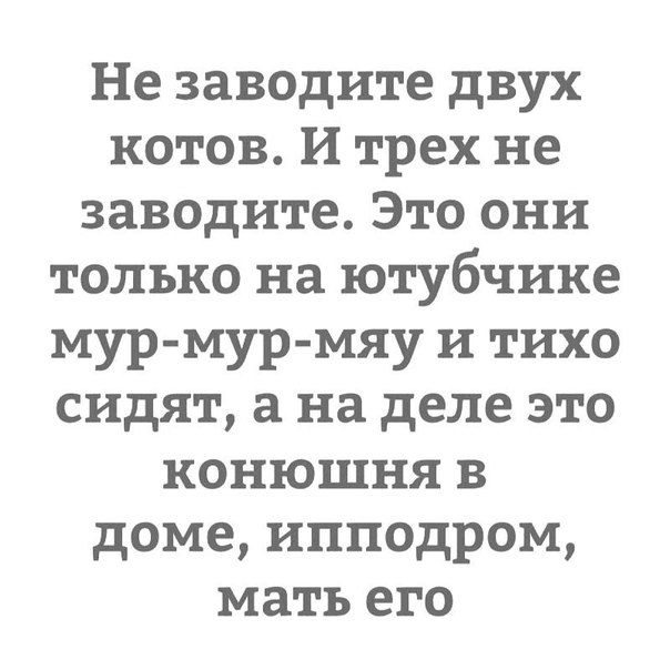 Немного картинок для настроения 29.01.20