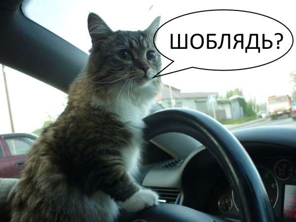 Кто мы на форумах?