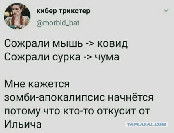 Чуток картинок 15.07.20