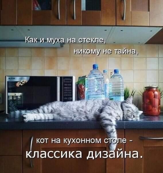 Картинки всякие, 27.08.2020