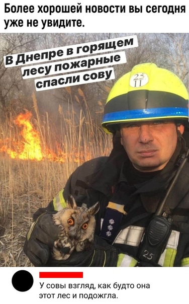 Немного картинок для настроения 12.11.20