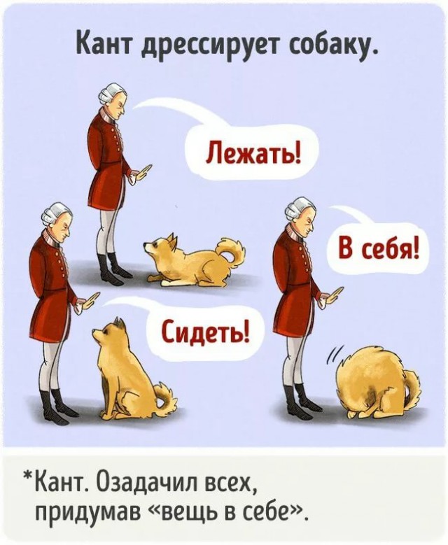 Собаки бывают