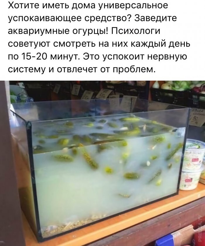 https://s00.yaplakal.com/pics/pics_original/5/6/5/15255565.jpg