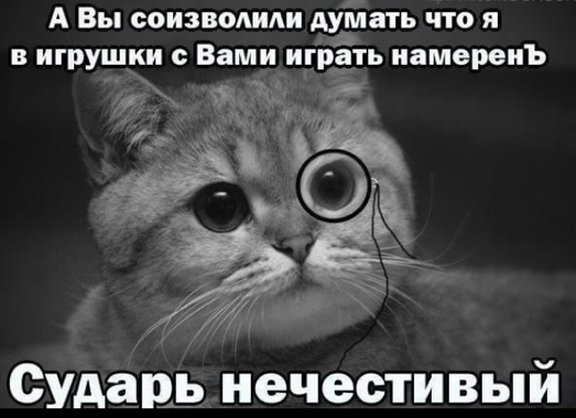 Суданский самолёт совершил вынужденную посадку из-за кота, который забрался в кабину пилотов и вёл себя агрессивно