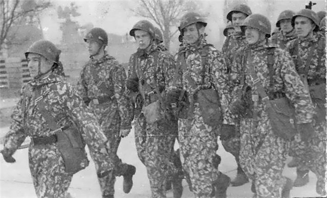 В каком камуфляже ходила Советская Армия. Зачем солдаты в Афгане красили свою форму.