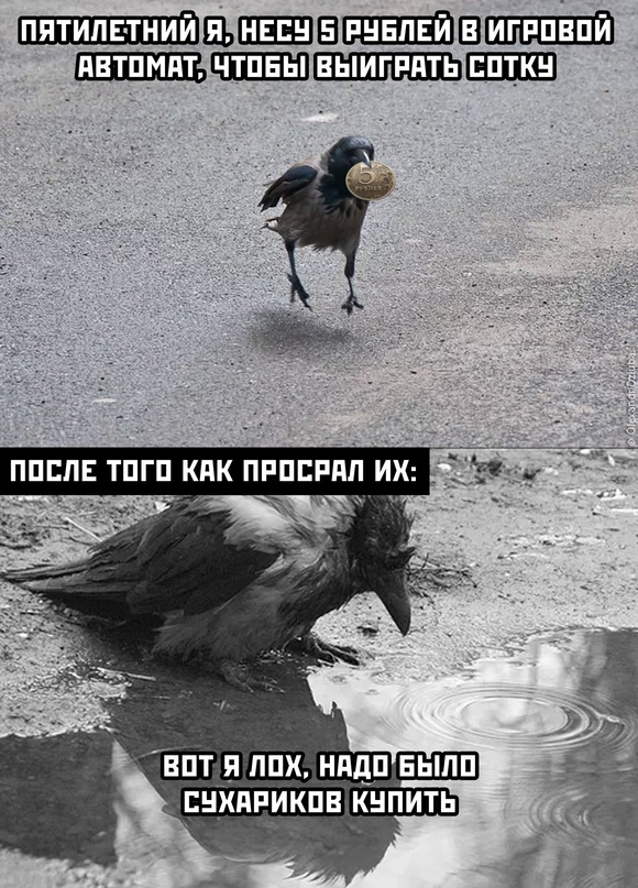 Весёлый полтишок 27.05