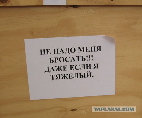 Приколы из Казахстана