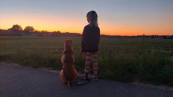 ФотоВинегрет