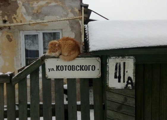 Так себе картинки 07.11.24