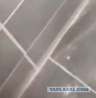 Хорошо установили, крепко?!