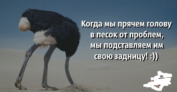Уполномоченный по правам ребёнка в столице Ольга Ярославская заявила о недопустимости «национальной компоненты» в деле об избиении мальчика в школе в Новой Москве