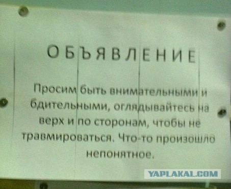 Так себе картинки 20.08.25