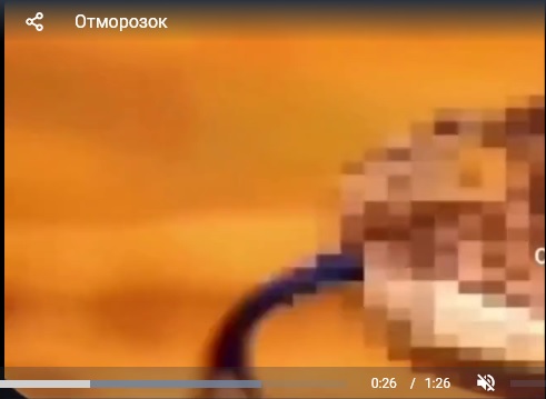 Медоеду на все плевать