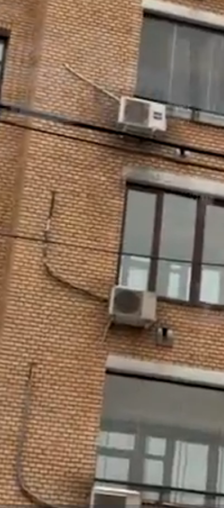 Принудительное выселение Ларисы Долиной из квартиры в Хамовниках началось