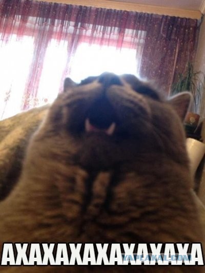 Всех с пятницей.