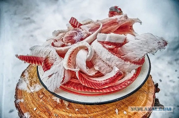 Советский транспорт в Диксоне