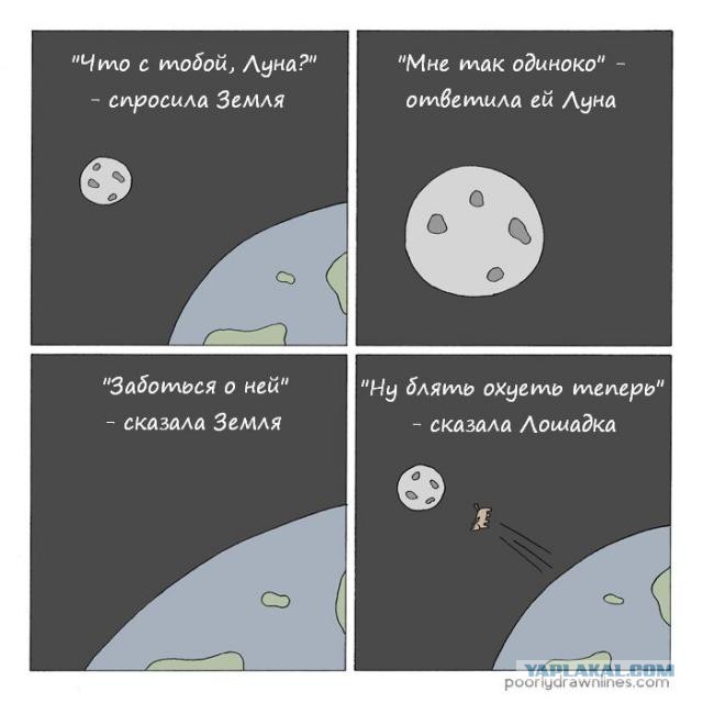 Прикольные картинки