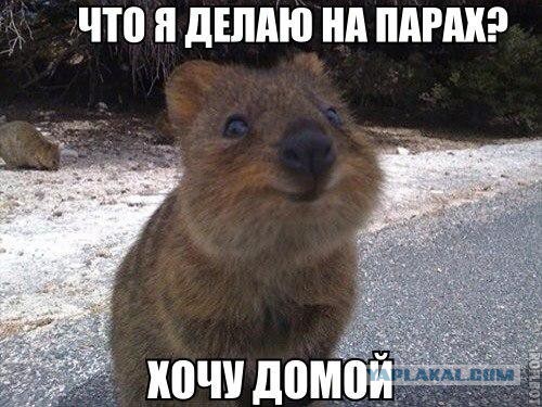 Немного позитива на пятницу
