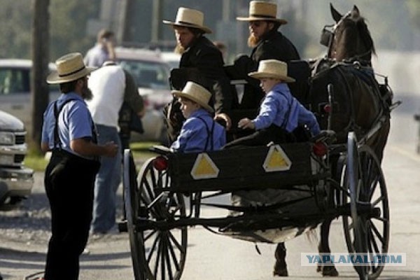 Светлану Давыдову, обвиняемую в госизмене