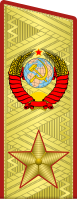 "ряженные" на трибунах Парада Победы