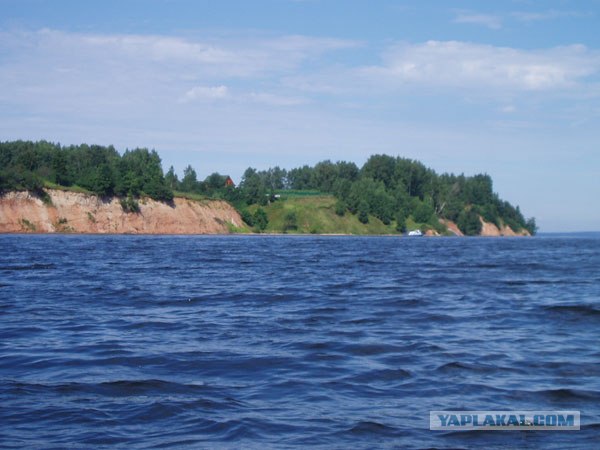 Мои игрушки (Пневматическое оружие)