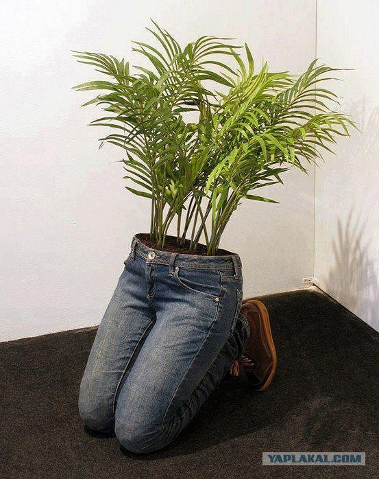 Показалось...