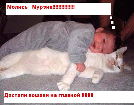 КОШКИ и ХОЗЯЕВА, подбрка картинок