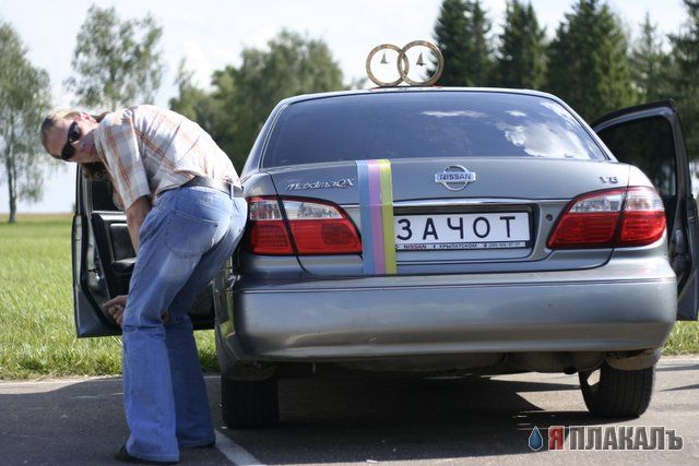 Свадьба, женихи и невесты