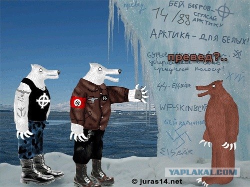 Шуточки от весёлого повара