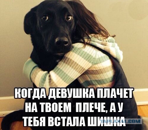 Кто?! Признавайтесь!