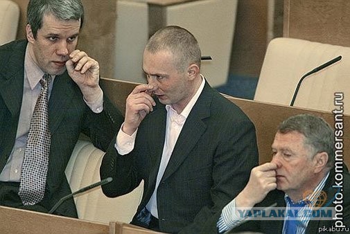 Светлана Орлова предложила ввести налог на сбор грибов и ягод