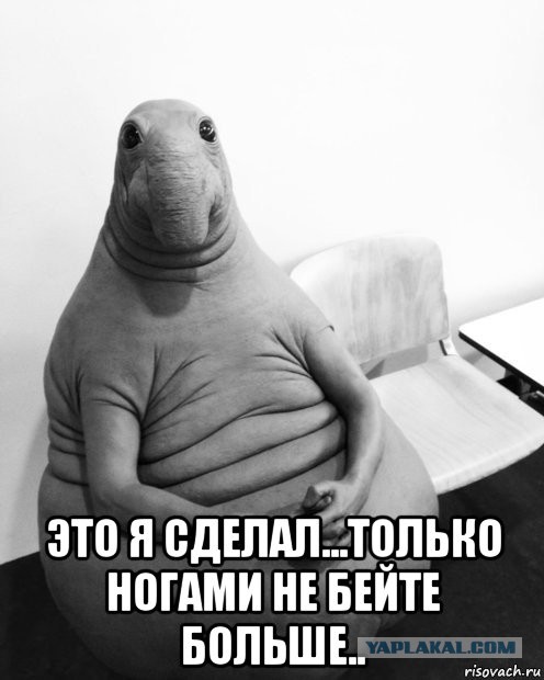 Перевал Дятлова. Конец истории