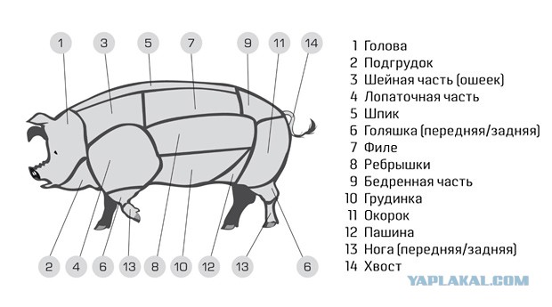 Как я мясо на......вертел ( эротика +24)