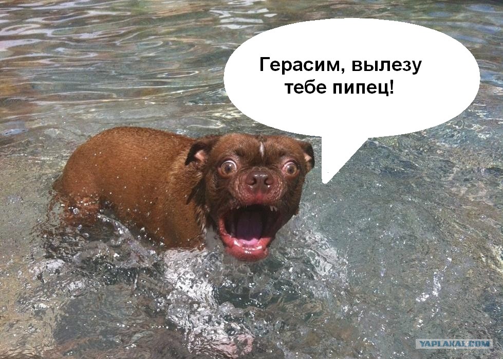 День, картинка с надписью тебе пипец