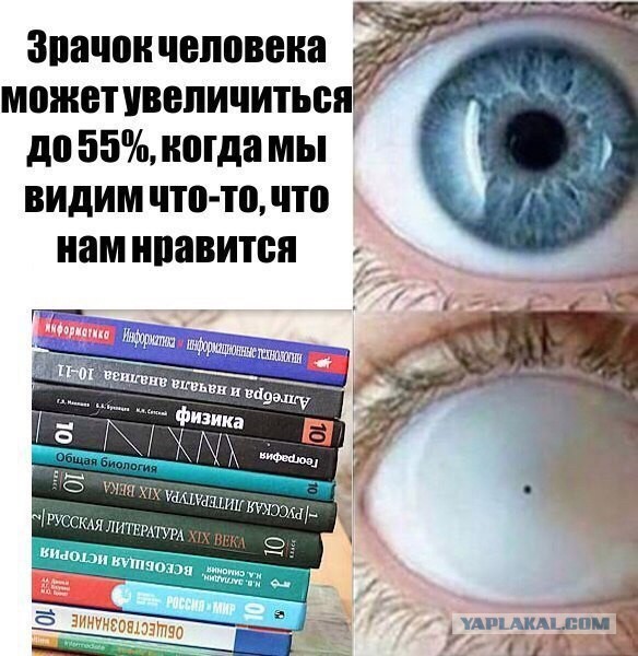 Картинки из интернета