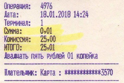 Житель Алтая задолжал налоговой копейку, но смог заплатить только с комиссией в 25 рублей