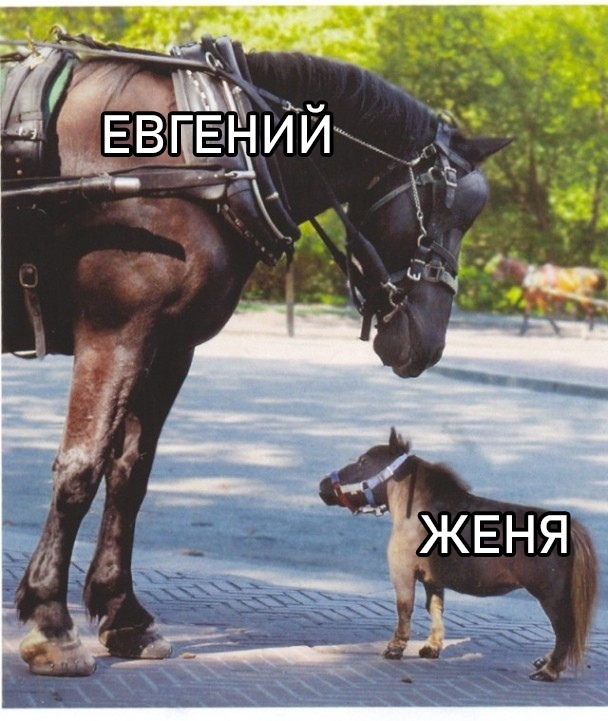 Немного картинок в этот четверг