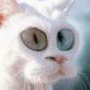 Котовторник на ЯПлакалъ (27.05.08), прикольные коты, добавляем свои!