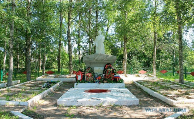 В Вологде жена полицейского вместе с дочкой устроила покатушки на лошади по кладбищу, на котором захоронены участники ВОВ