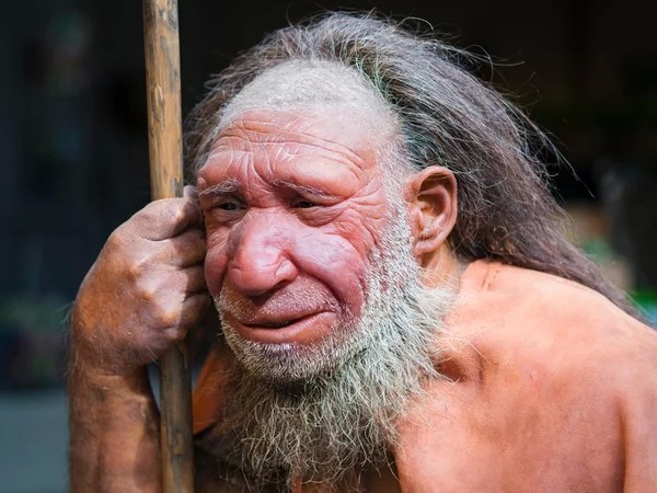 Откуда взялись неандертальцы и кроманьонцы